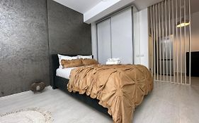 Fundeni House 250C